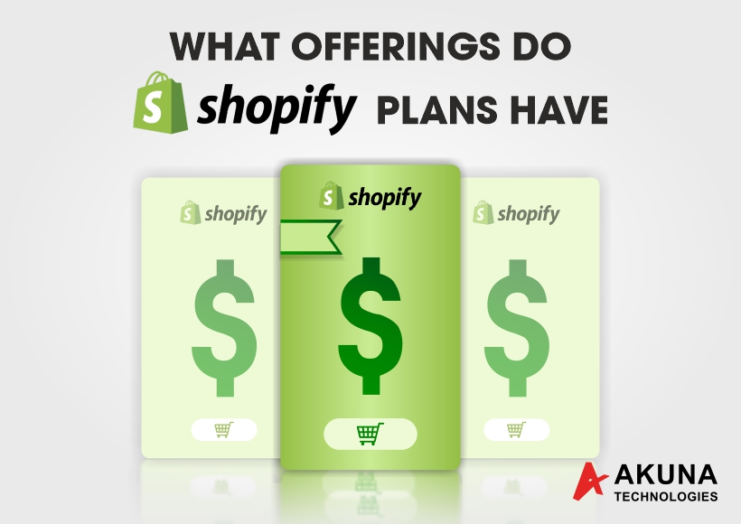 shopify-store-setup-service